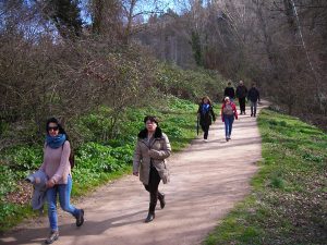 Valle del Eresma