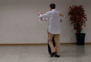 Fox Cruce corto