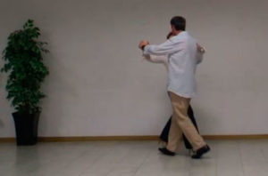 Fox Cruce corto